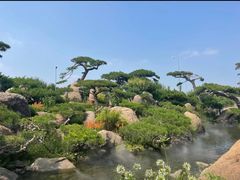 -罗红摄影艺术馆