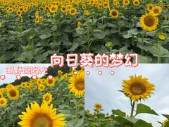 -苏州湾体育公园