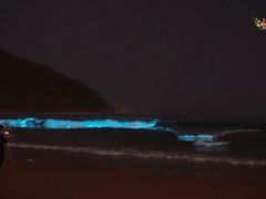 -西涌国际滨海旅游区