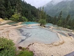 -黄龙山原始森林景区