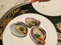 -青蓬蒸汽海鲜·深圳老字号·团建聚会(壹方城店)