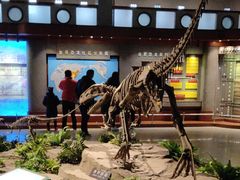 -自贡恐龙博物馆