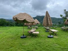 -桃源山庄·水蜜桃采摘·柴火鸡·烧烤团建(龙泉山店)