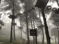 -梦幻奥陶纪景区