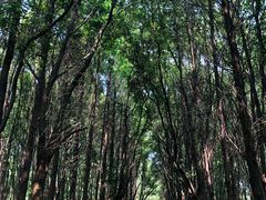 -同里国家湿地公园
