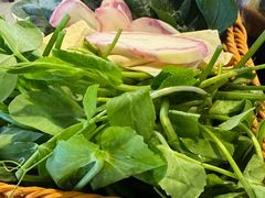 -草墩罗非鱼庄•野生菌•腊排骨(七星街上段店)