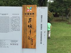 -荷塘月色湿地公园·向阳花洲