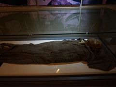 -巴音郭楞蒙古自治州博物馆