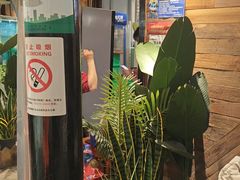 -西塘人家•黑金冠本地好店
