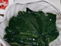 -蒙都43°9羊火锅·赤峰美食(桥北店)