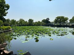 -无锡蠡湖国家湿地公园-蠡园