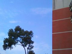 -四川大学(望江校区)