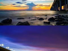 -宝安西湾红树林湿地公园