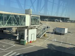 -郑州新郑国际机场-T2航站楼