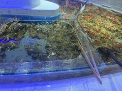 -澜悦港海鲜体验主题餐厅