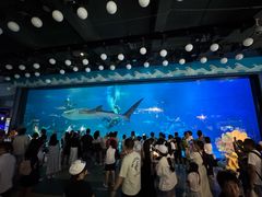 -烟台海昌鲸鲨海洋公园