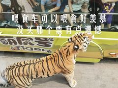 -西安秦岭野生动物园