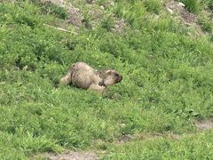 -新疆那拉提国家旅游度假区
