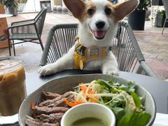 -Wagas沃歌斯(深圳印力中心店)