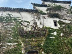 -广富林郊野公园