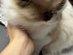 -剧狐剧本杀(徐汇1号店)