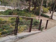 -大班家政月嫂育儿嫂(总部店)