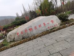-习家池