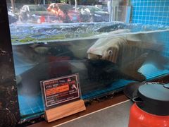 -浔味·山屿湖·正宗淳牌全鱼宴老字号