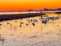 -老虎石海上公园