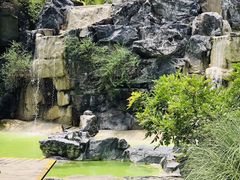 -上海吴淞炮台湾国家湿地公园