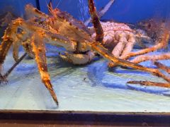 -阿伟海鲜楼·福建菜(延寿店)