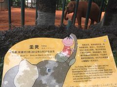 -昆明动物园