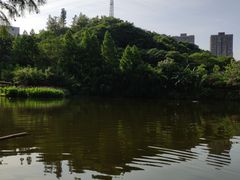 -重庆彩云湖湿地公园
