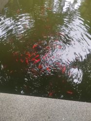 -莲生母婴月子中心(清水河公园店)