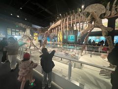 -国家自然博物馆