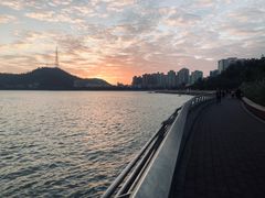 -野狸岛