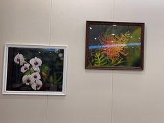 -宝界普菲特湖畔酒店