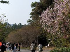 -南沙蒲洲花园