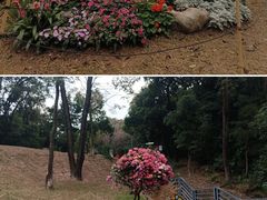 -广州市白云山风景名胜区