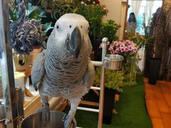 -森野花艺培训·企业团建活动沙龙