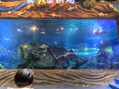 -太奥幻太奇海洋馆