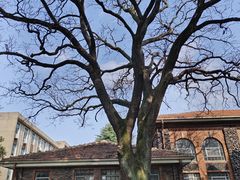 -苏州大学(天赐庄校区)