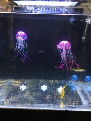 -星童star.kids儿童发型设计·满月胎发(玉兰花园店)