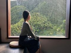 -杨家堂村