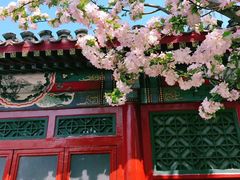 -海棠花溪(元大都城垣遗址公园)