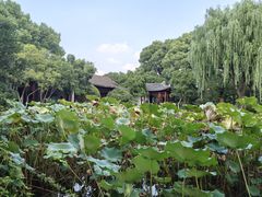 -秋霞圃
