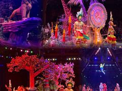 -奥兰多迪士尼动物王国乐园