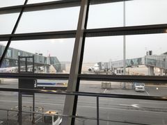 -合肥新桥国际机场-航站楼