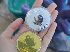 -海合安武汉极地海洋公园