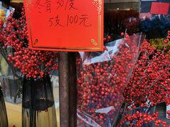 -溪岸路花鸟市场